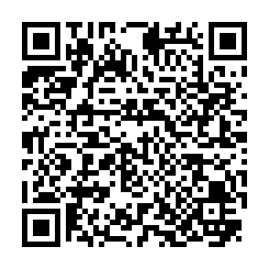 林口近交流道三角窗建地-QR CODE